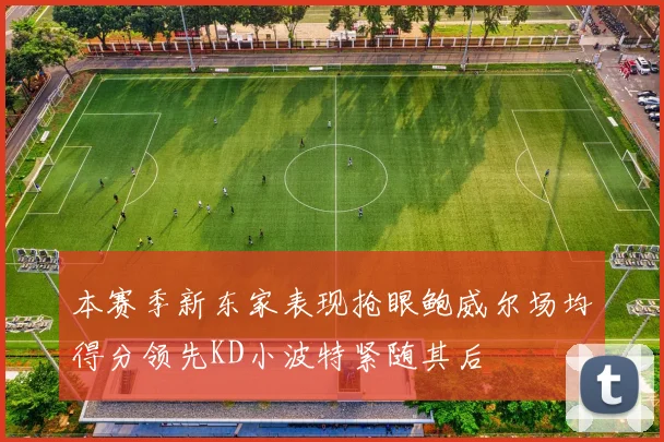 本赛季新东家表现抢眼鲍威尔场均得分领先KD小波特紧随其后